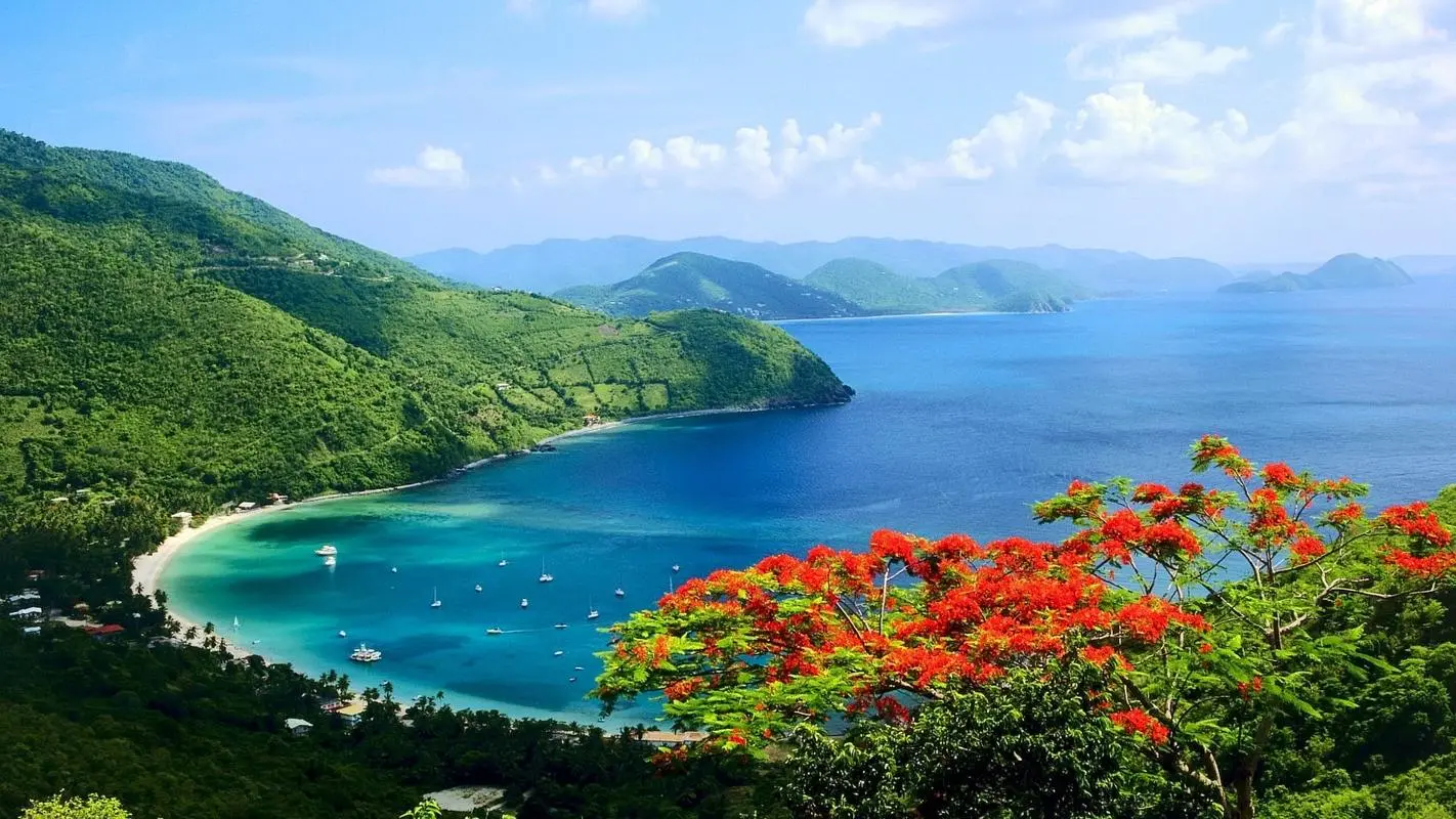 高性能可靠性智能